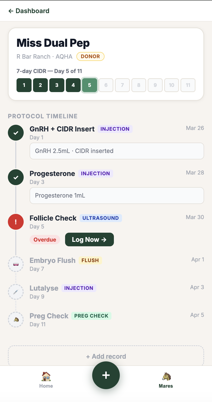7-day CIDR protocol timeline showing completed and upcoming steps per mare