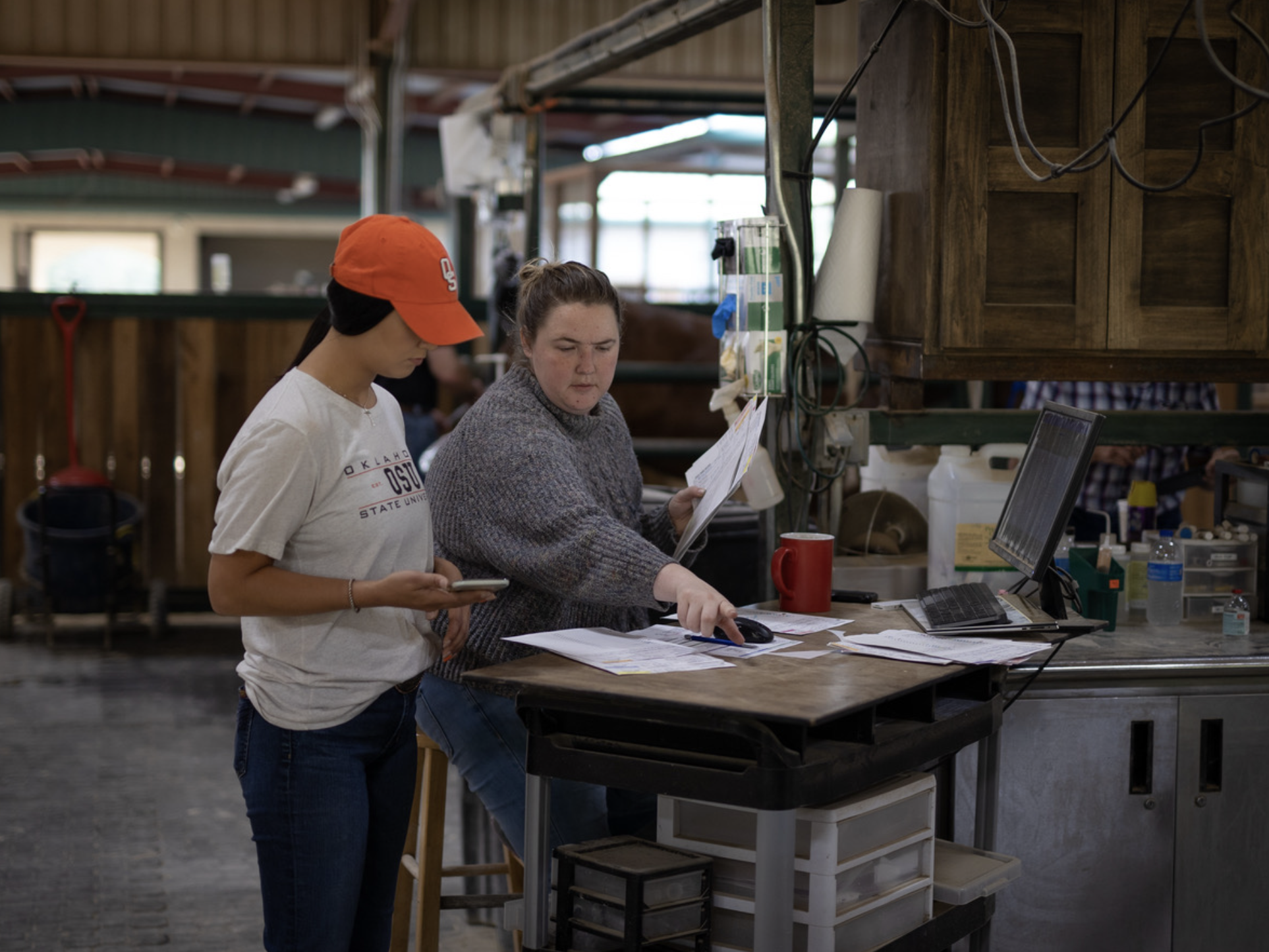 Veterinary staff reviewing paper records at a barn workstation